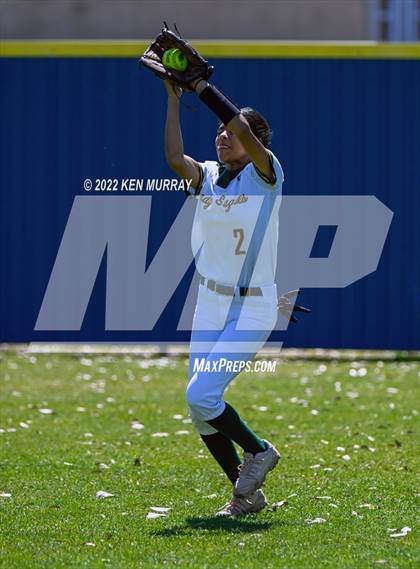 Thumbnail 2 in Klein Forest vs Klein photogallery.