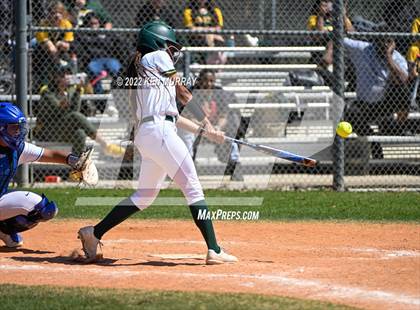 Thumbnail 2 in Klein Forest vs Klein photogallery.