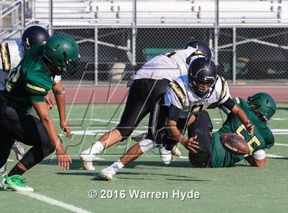Thumbnail 2 in Wilcox @ Monterey Trail photogallery.
