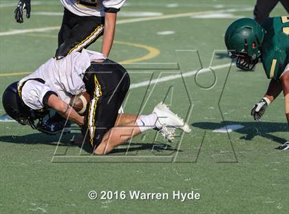 Thumbnail 1 in Wilcox @ Monterey Trail photogallery.