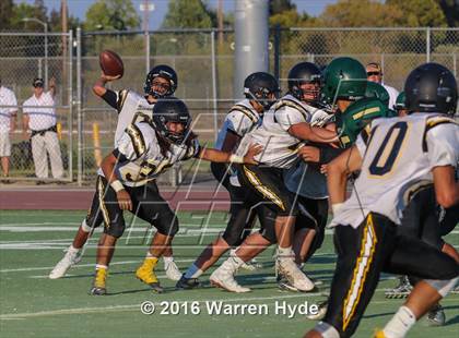 Thumbnail 1 in Wilcox @ Monterey Trail photogallery.