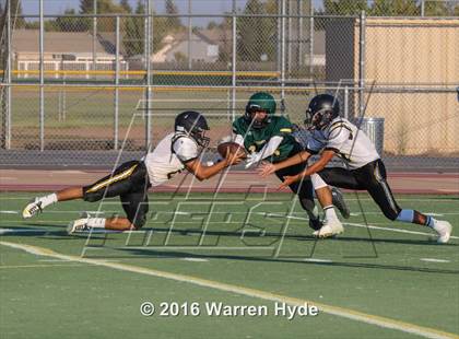 Thumbnail 3 in Wilcox @ Monterey Trail photogallery.