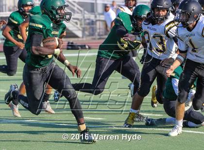 Thumbnail 1 in Wilcox @ Monterey Trail photogallery.