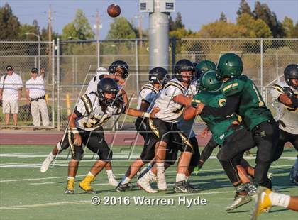 Thumbnail 2 in Wilcox @ Monterey Trail photogallery.