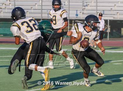 Thumbnail 3 in Wilcox @ Monterey Trail photogallery.