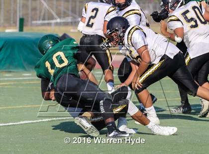 Thumbnail 1 in Wilcox @ Monterey Trail photogallery.
