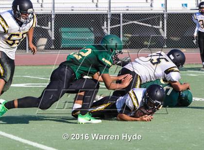 Thumbnail 3 in Wilcox @ Monterey Trail photogallery.