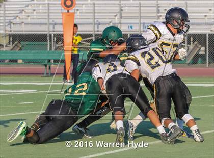 Thumbnail 2 in Wilcox @ Monterey Trail photogallery.