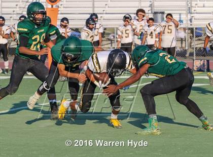 Thumbnail 3 in Wilcox @ Monterey Trail photogallery.