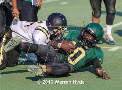 Thumbnail 2 in Wilcox @ Monterey Trail photogallery.