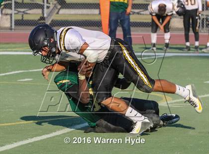Thumbnail 3 in Wilcox @ Monterey Trail photogallery.