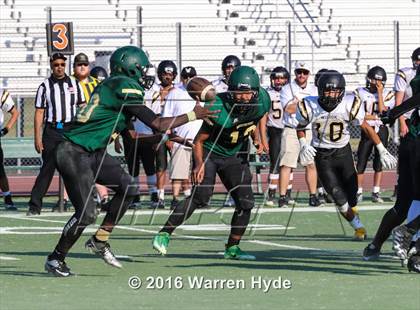 Thumbnail 2 in Wilcox @ Monterey Trail photogallery.