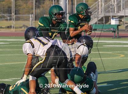 Thumbnail 1 in Wilcox @ Monterey Trail photogallery.
