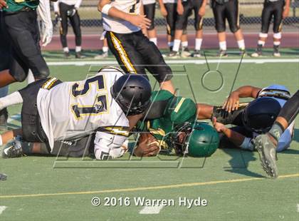Thumbnail 1 in Wilcox @ Monterey Trail photogallery.