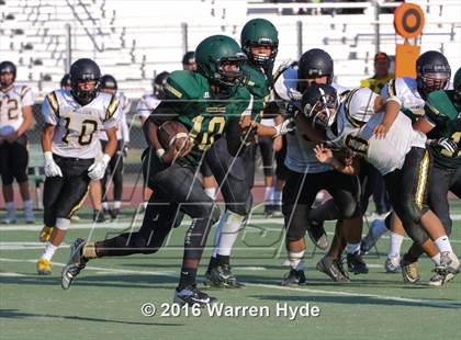 Thumbnail 3 in Wilcox @ Monterey Trail photogallery.