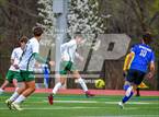 Photo from the gallery "Alma @ Harrison"