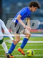 Photo from the gallery "Alma @ Harrison"
