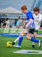 Photo from the gallery "Alma @ Harrison"