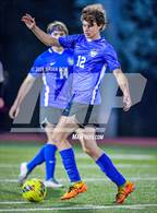 Photo from the gallery "Alma @ Harrison"