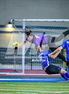 Photo from the gallery "Alma @ Harrison"