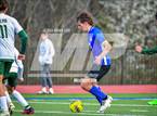 Photo from the gallery "Alma @ Harrison"
