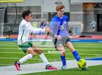 Photo from the gallery "Alma @ Harrison"