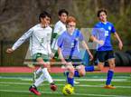 Photo from the gallery "Alma @ Harrison"