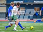 Photo from the gallery "Alma @ Harrison"