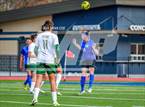 Photo from the gallery "Alma @ Harrison"