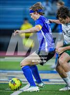 Photo from the gallery "Alma @ Harrison"