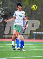 Photo from the gallery "Alma @ Harrison"