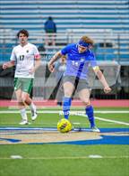 Photo from the gallery "Alma @ Harrison"