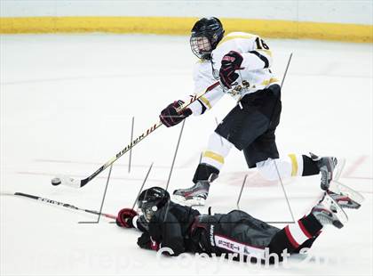 Thumbnail 1 in Rockwood Summit vs. Lafayette (Wickenheiser Cup Final) photogallery.