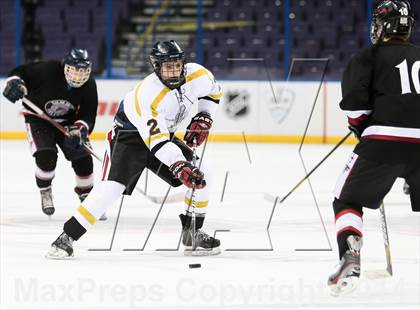 Thumbnail 3 in Rockwood Summit vs. Lafayette (Wickenheiser Cup Final) photogallery.