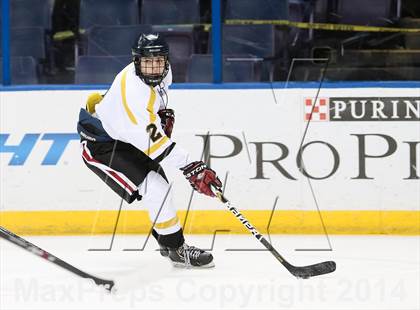 Thumbnail 3 in Rockwood Summit vs. Lafayette (Wickenheiser Cup Final) photogallery.