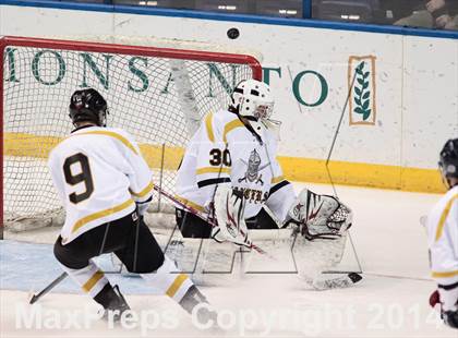 Thumbnail 1 in Rockwood Summit vs. Lafayette (Wickenheiser Cup Final) photogallery.