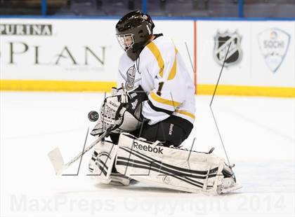 Thumbnail 1 in Rockwood Summit vs. Lafayette (Wickenheiser Cup Final) photogallery.