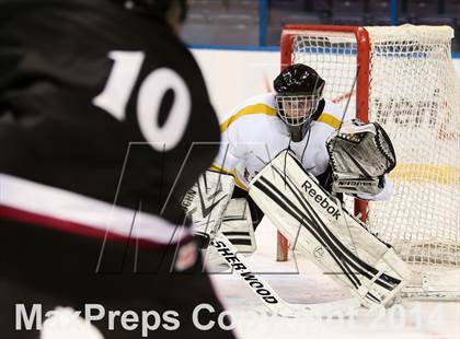 Thumbnail 1 in Rockwood Summit vs. Lafayette (Wickenheiser Cup Final) photogallery.