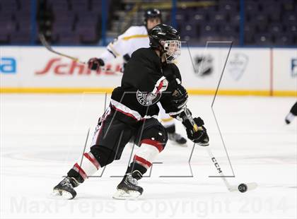Thumbnail 1 in Rockwood Summit vs. Lafayette (Wickenheiser Cup Final) photogallery.
