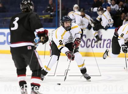 Thumbnail 3 in Rockwood Summit vs. Lafayette (Wickenheiser Cup Final) photogallery.