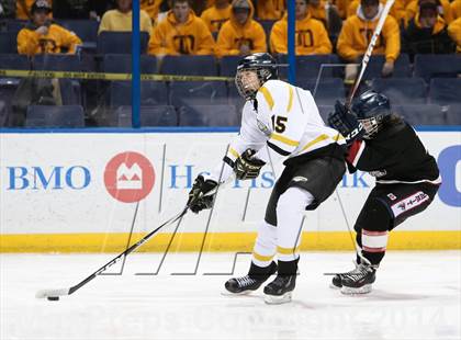 Thumbnail 3 in Rockwood Summit vs. Lafayette (Wickenheiser Cup Final) photogallery.