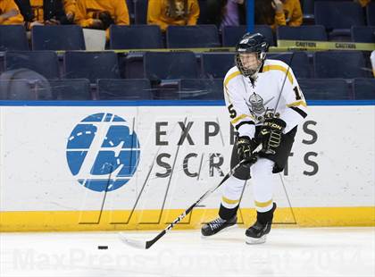 Thumbnail 1 in Rockwood Summit vs. Lafayette (Wickenheiser Cup Final) photogallery.