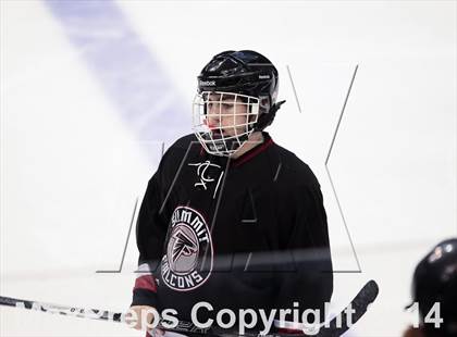 Thumbnail 3 in Rockwood Summit vs. Lafayette (Wickenheiser Cup Final) photogallery.