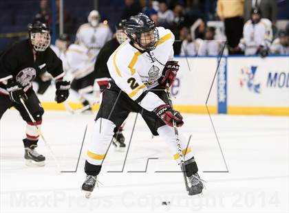 Thumbnail 2 in Rockwood Summit vs. Lafayette (Wickenheiser Cup Final) photogallery.