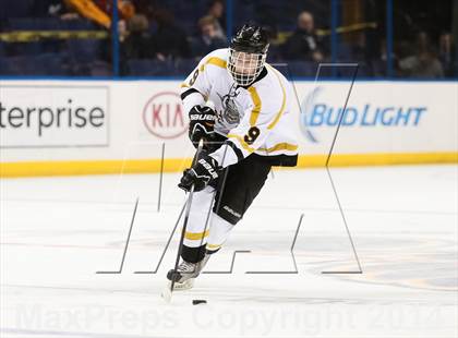 Thumbnail 3 in Rockwood Summit vs. Lafayette (Wickenheiser Cup Final) photogallery.