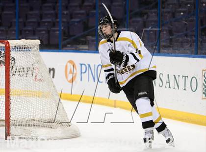 Thumbnail 2 in Rockwood Summit vs. Lafayette (Wickenheiser Cup Final) photogallery.