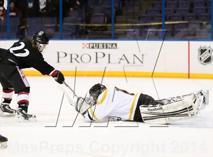 Thumbnail 1 in Rockwood Summit vs. Lafayette (Wickenheiser Cup Final) photogallery.