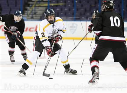 Thumbnail 2 in Rockwood Summit vs. Lafayette (Wickenheiser Cup Final) photogallery.