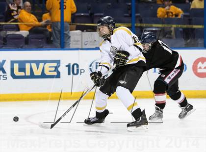 Thumbnail 1 in Rockwood Summit vs. Lafayette (Wickenheiser Cup Final) photogallery.