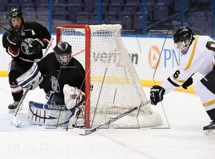 Thumbnail 1 in Rockwood Summit vs. Lafayette (Wickenheiser Cup Final) photogallery.